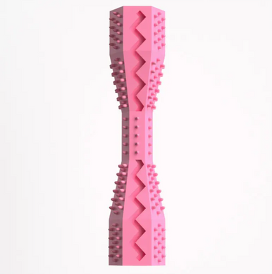 Transform Playtime into a Healthier Smile!